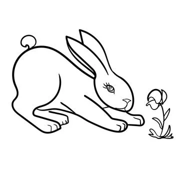 Rabbit Vector. Use Web, line , icon or logo, bunny Stock Illustration