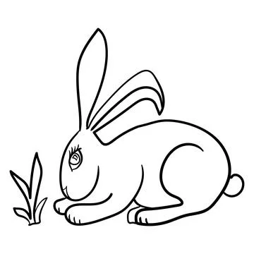 Rabbit Vector. Use Web, line , icon or logo, bunny Stock Illustration