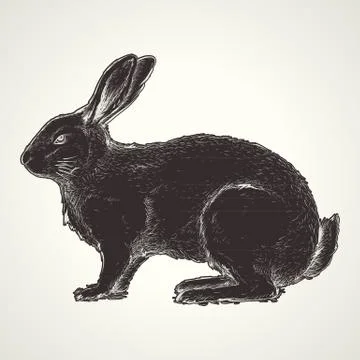 Rabbit vintage Stock Illustration