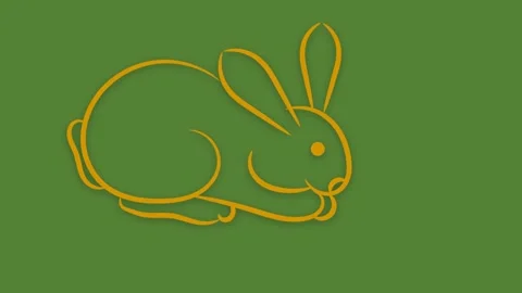 Rabbit walking slowly Stock Footage 302459473