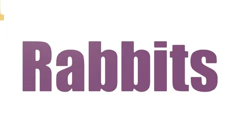 Rabbits Mating Stock Video Footage | Royalty Free Rabbits Mating Videos ...