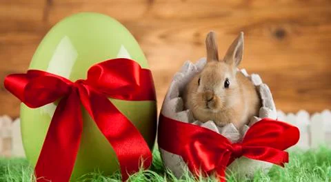 Rabbits with Easter on wooden background Free Stock Photos