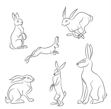 Rabbits with lines, vector Stock Illustration