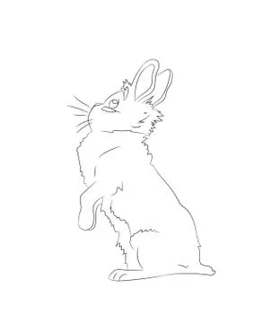 Rabbits with lines, vector Stock Illustration