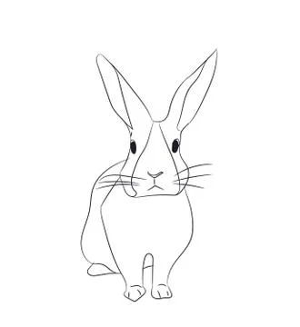 Rabbits with lines, vector Illustrazione stock
