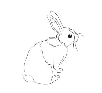 Rabbits with lines, vector Stock-Illustration