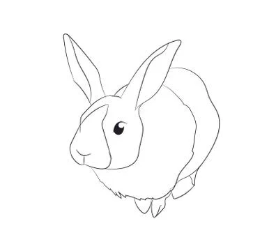 Rabbits with lines, vector Stock Illustration