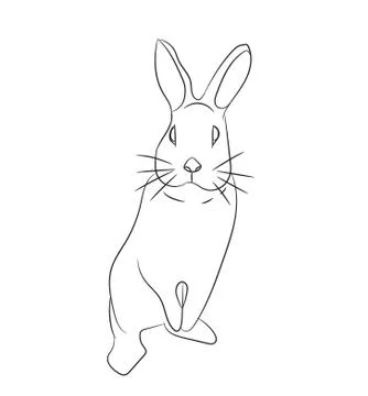 Rabbits with lines, vector Stock Illustration