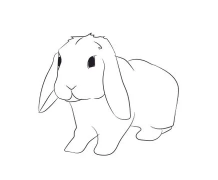 Rabbits with lines, vector Stock Illustration