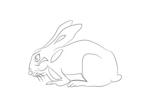 Rabbits with lines, vector Stock Illustration