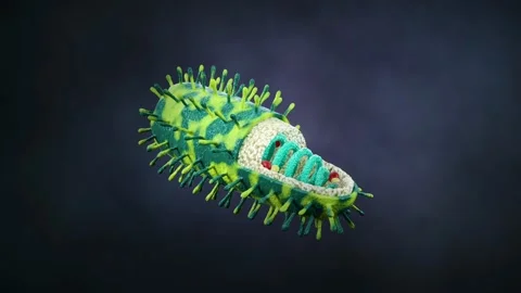 Rabies. 4Kmp4 Video stock 282497396