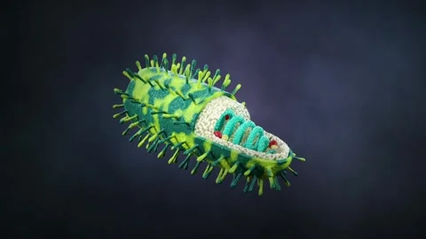 Rabies Video stock 282497346