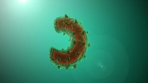 The rabies virus as seen with a microscope Stock Illustration