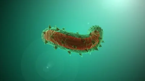 The rabies virus as seen with a microscope Stock Illustration