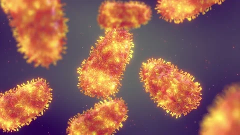 Rabies viruses Stock Footage 284119832