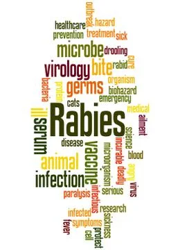Rabies, word cloud concept Stock Illustration