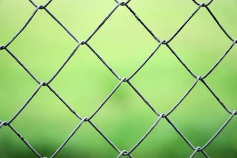 Rabitz on the background of green grass Stock Photos