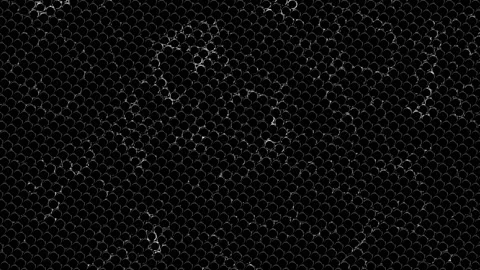 Rabitz. Electrical discharges. Animation. Background. Stock-Footage 160842811