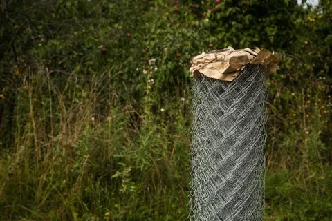 Rabitz grid in a roll on in garden. Selective focus. Free space for text. Stock Photos
