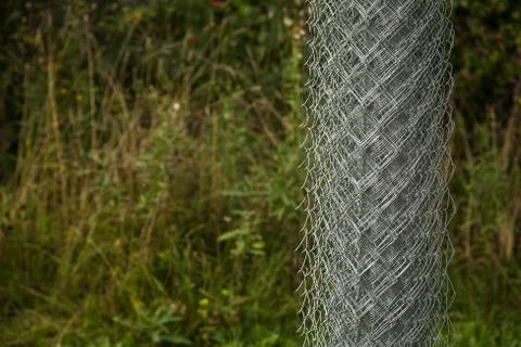 Rabitz grid in a roll on in garden. Selective focus. Free space for text. Stock Photos