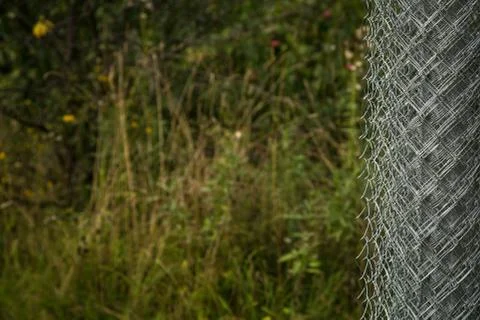 Rabitz grid in a roll on in garden. Selective focus. Free space for text. Stock Photos