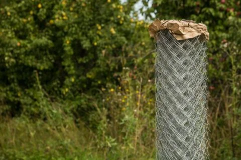 Rabitz grid in a roll on in garden. Selective focus. Free space for text. Stock Photos