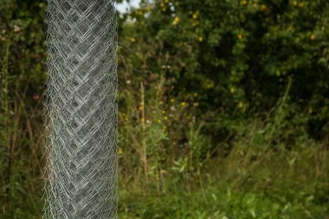 Rabitz grid in a roll on in garden. Selective focus. Free space for text. Stock Photos