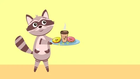 Raccoon Stock Footage 207661265