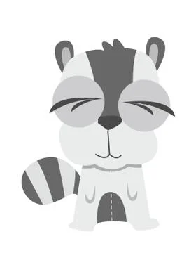 Raccoon Stock Illustration