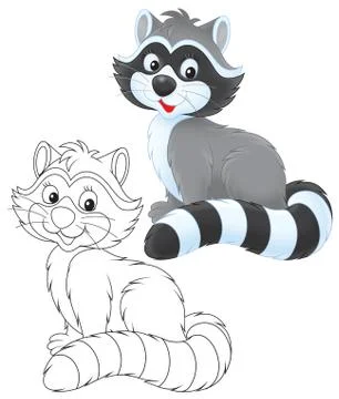 Raccoon Stock Illustration