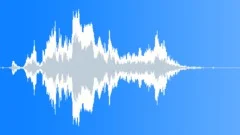 Raccoon question short 02Sound Effect