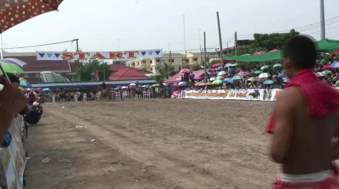 Race 16 Stock Footage 488862