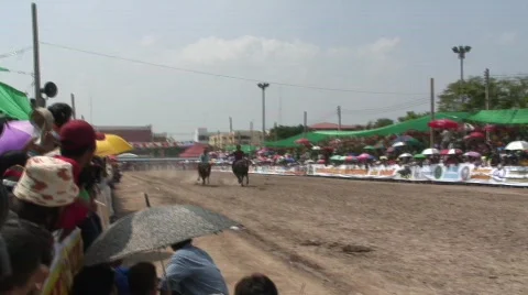 Race 18 Vídeo Stock 488850