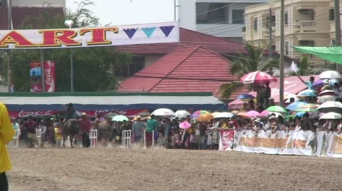 Race 19 Stock Footage 488848