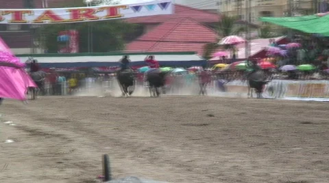 Race 21 Stock Footage 488835