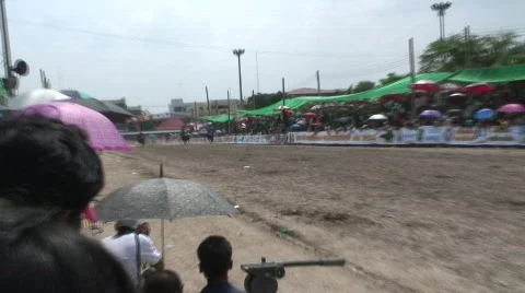 Race 22 Video stock 488831