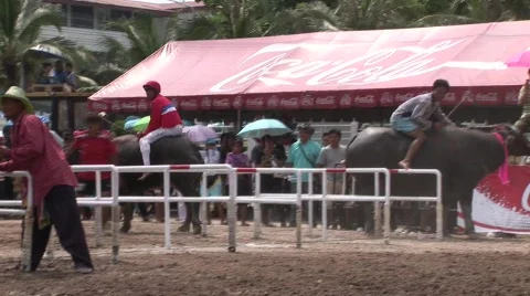 Race 23 스톡 동영상 488828