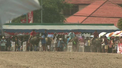 Race 3 Stock Footage 485743