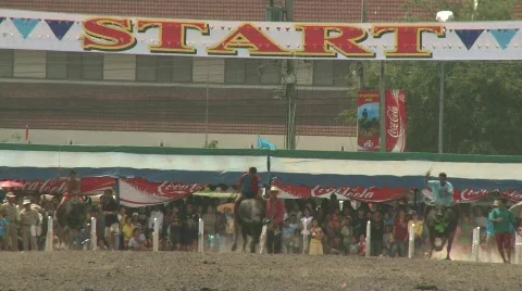 Race 5 Stock Footage 485729