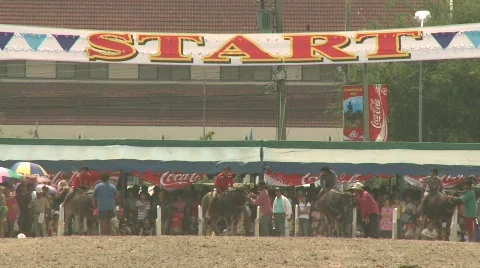 Race 7 스톡 동영상 485714