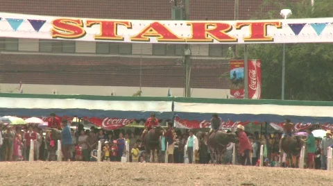 Race 8 Video stock 485704