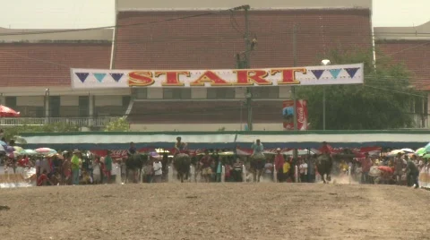 Race 9 스톡 동영상 485694