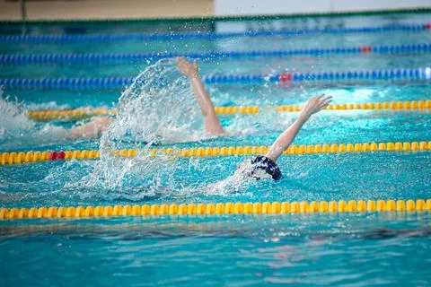 Race of backstroke swimmers in the pool Stock Photos