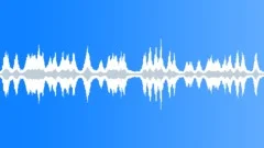 Race Cars loopSound Effect