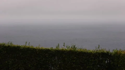 Race Focus Shrubs Overlooking the Ocean. Nordeste,Sao Miguel,Portugal,Azores. Stock Footage 239870285
