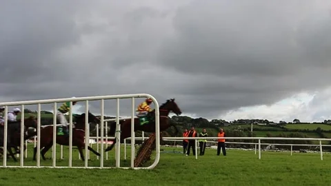 Race horses jumping a hurdle Stock-Footage 132508945