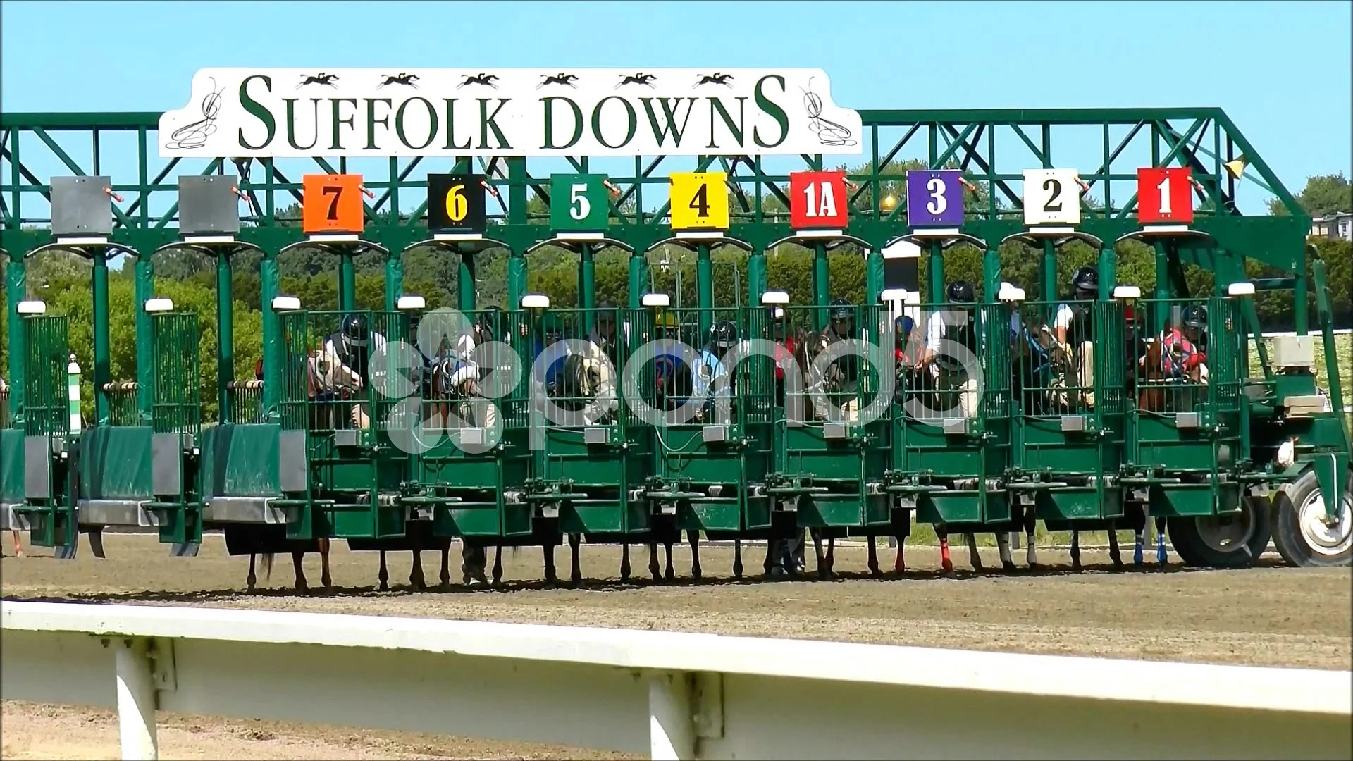 Race Horses Leave Starting Gate Stock Video Pond5