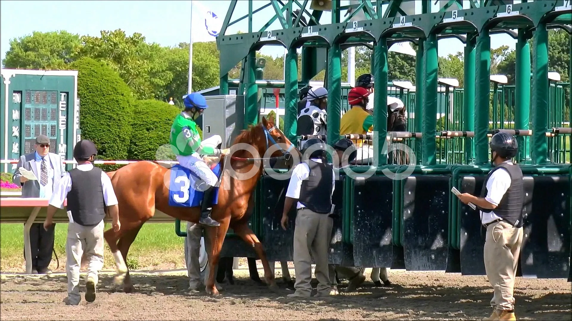Race Horses Load Into Starting Gates Stock Video Pond5