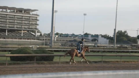Race Horses at the track warming up Stock Footage 246138926