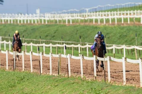 Race horses training Stock Photos